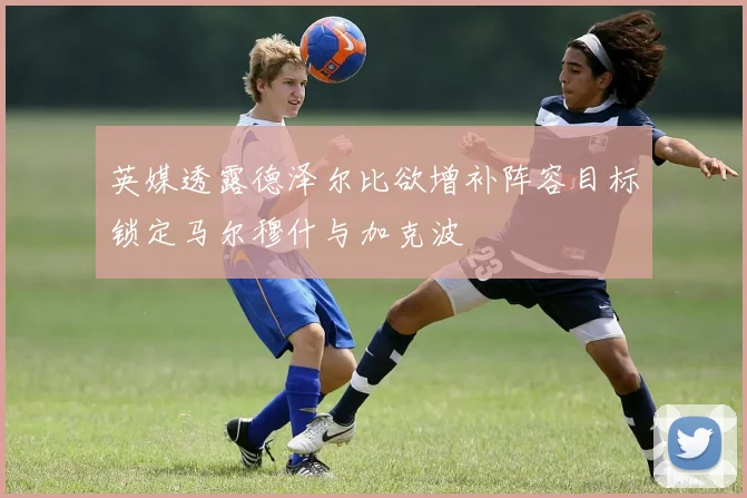 英媒透露德泽尔比欲增补阵容目标锁定马尔穆什与加克波